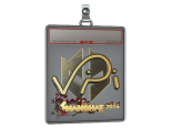 Sticker Slab | VINI (Gold) | Shanghai 2024