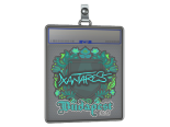 Sticker Slab | XANTARES | Budapest 2025