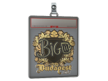 Sticker Slab | biguzera (Gold) | Budapest 2025