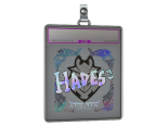 Sticker Slab | hades (Holo) | Austin 2025