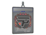 Sticker Slab | paiN Gaming | Budapest 2025