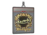Sticker Slab | xKacpersky (Gold) | Budapest 2025