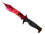 ★ Bowie Knife | Doppler (Factory New)