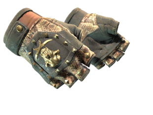 CS2 Handschuhe Skins | Alle CSGO Handschuhe und Preise | Market CSGO