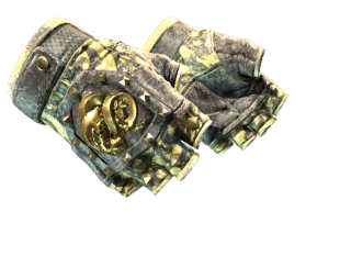 Gloves Skins CS2 (CSGO) — All Gloves CS2 and Prices | Market CSGO