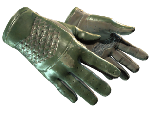 Gloves Skins CS2 (CSGO) — All Gloves CS2 and Prices | Market CSGO