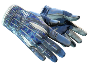 Gloves Skins CS2 (CSGO) — All Gloves CS2 and Prices | Market CSGO