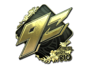 Aufkleber CSGO (CS2) | CSGO Aufkleber und Preise | Market CSGO