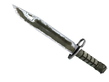 ★ Bayonet | Safari Mesh (Battle-Scarred)