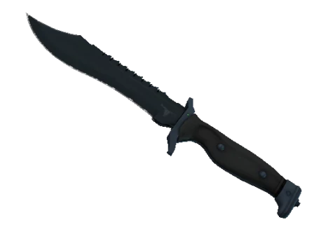 ★ Bowie Knife | Night (Factory New)