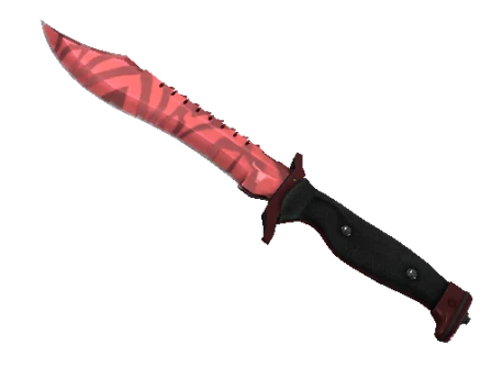 ★ Bowie Knife | Slaughter (Factory New)
