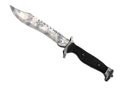 ★ Bowie Knife | Stained (Factory New)