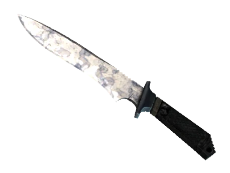 ★ Classic Knife | Stained (Factory New)