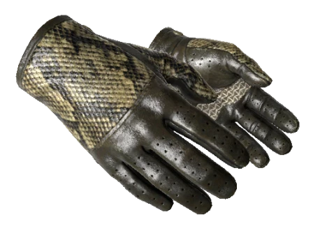 ★ Driver Gloves | Diamondback (Field-Tested)