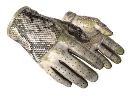 ★ Driver Gloves | King Snake (Battle-Scarred)