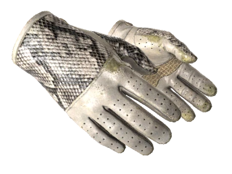 ★ Driver Gloves | King Snake (Field-Tested)