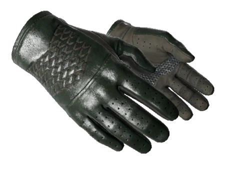 ★ Driver Gloves | Racing Green (Factory New)