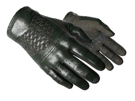 ★ Driver Gloves | Racing Green (Minimal Wear)