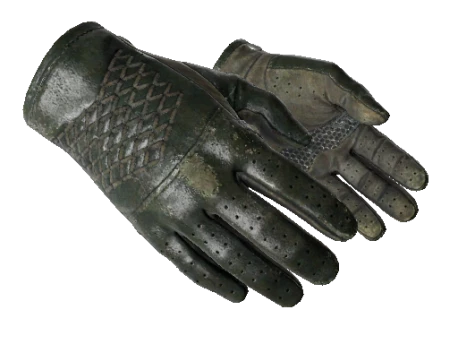 ★ Driver Gloves | Racing Green (Well-Worn)