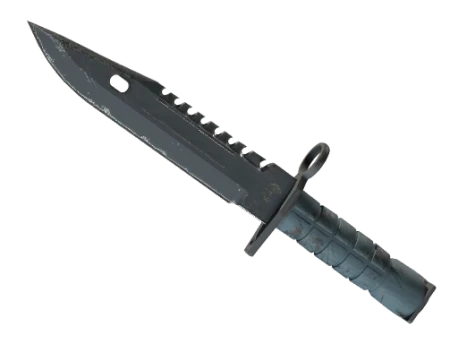 ★ M9 Bayonet | Night (Well-Worn)