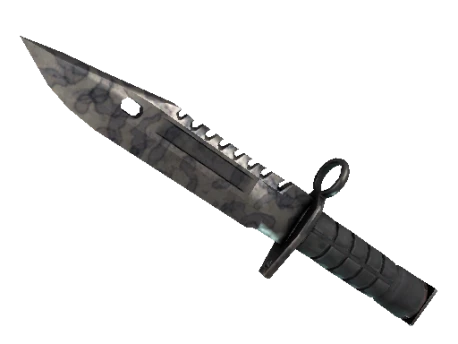 ★ M9 Bayonet | Stained (Well-Worn)