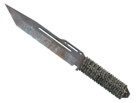 Paracord Knife | Rust Coat (Well-Worn) CS2 (CS:GO) | Buy, Sell, Price ...