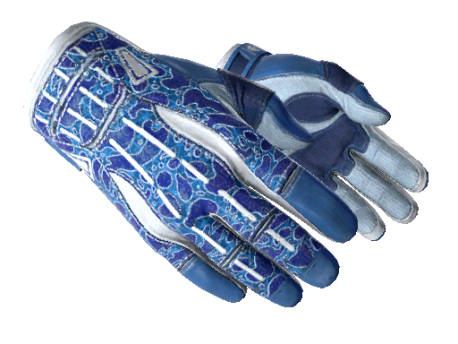 ★ Sport Gloves | Amphibious (Factory New)
