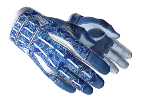 ★ Sport Gloves | Amphibious (Factory New)