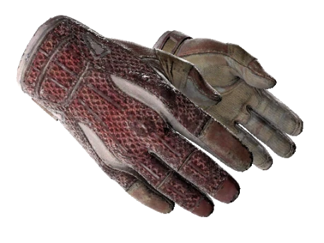 ★ Sport Gloves | Slingshot (Battle-Scarred)