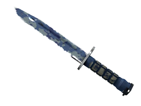 ★ StatTrak™ Bayonet | Bright Water (Well-Worn)