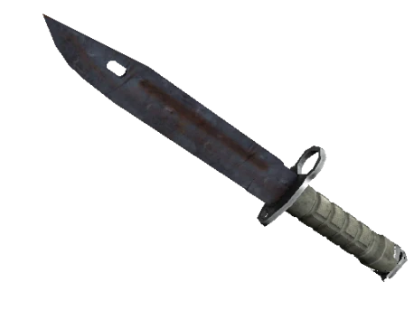 ★ StatTrak™ Bayonet | Rust Coat (Well-Worn)