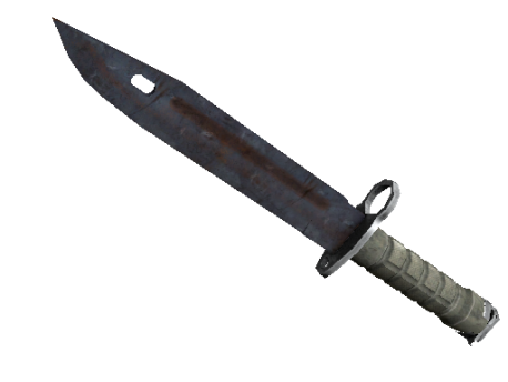 ★ StatTrak™ Bayonet | Rust Coat (Well-Worn)