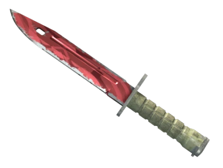 ★ StatTrak™ Bayonet | Slaughter (Field-Tested)