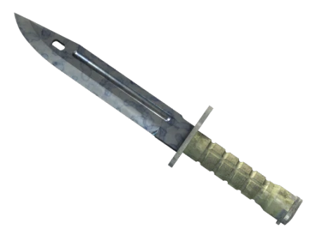 ★ StatTrak™ Bayonet | Stained (Minimal Wear)