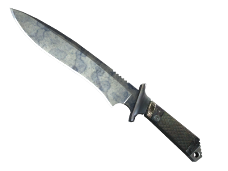★ StatTrak™ Classic Knife | Stained (Well-Worn)