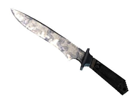 ★ StatTrak™ Classic Knife | Stained (Well-Worn)
