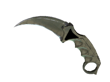 ★ StatTrak™ Karambit | Safari Mesh (Field-Tested)