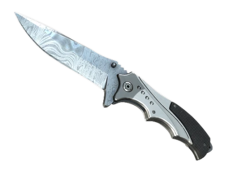 ★ StatTrak™ Nomad Knife | Damascus Steel (Field-Tested)