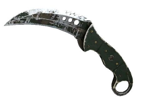 ★ StatTrak™ Talon Knife | Forest DDPAT (Battle-Scarred)