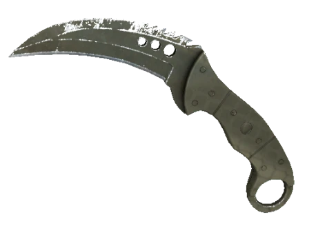 ★ StatTrak™ Talon Knife | Safari Mesh (Well-Worn)