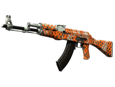 AK-47 | Safety Net (Well-Worn)
