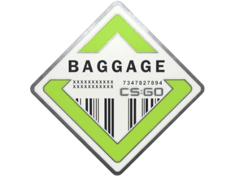 Baggage Pin