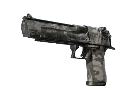 Desert Eagle | Urban Rubble (Field-Tested)