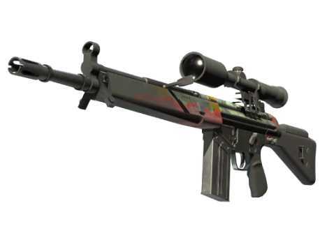 G3SG1 | Keeping Tabs (Battle-Scarred)