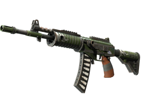 Galil AR | Vandal (Well-Worn)