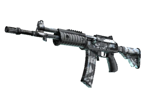 Galil AR | Winter Forest (Well-Worn)