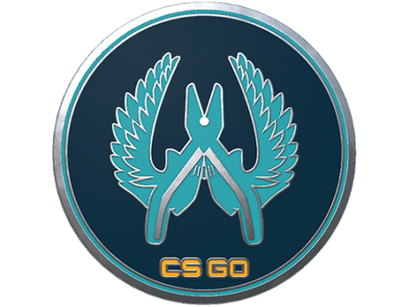 Guardian Pin