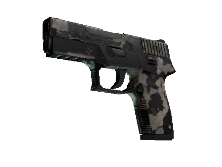 P250 | Black & Tan (Battle-Scarred)