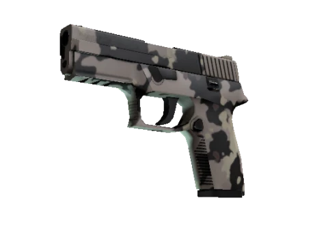 P250 | Black & Tan (Factory New)