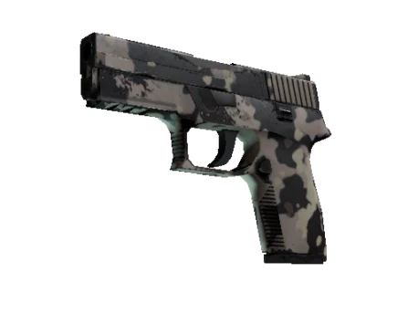 P250 | Black & Tan (Well-Worn)